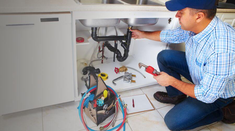 Professional Leak Detection Services in Delano, TN